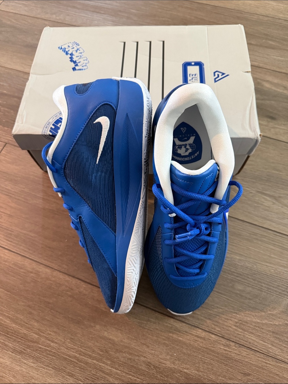 Giannis Freak 6 Nike Royal Blue Sneakers with White Swoosh